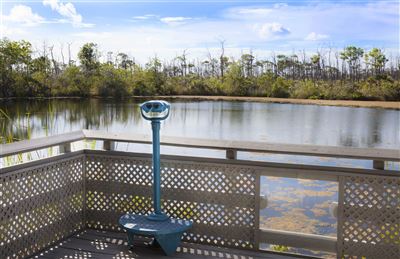 Ausblick am Blue Hole See/ Big Pine Key